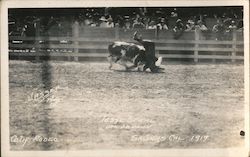 Jesse Stahl Upside Down, Calif. Rodeo 1919 Salinas, CA Hasser Photo Postcard Postcard Postcard