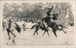 California Rodeo Postcard