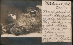 Stock #763157 Thumbnail