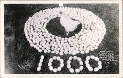 Hen Surrounded by Eggs Postcard