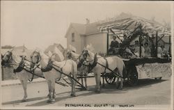 July 4, 1910 Horse Float Petaluma, CA Postcard Postcard Postcard