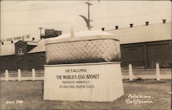 Petaluma, The World's Egg Basket Postcard