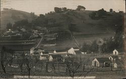 Among the Poultry Ranches Postcard