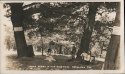Scene in Oak Hill Park Postcard