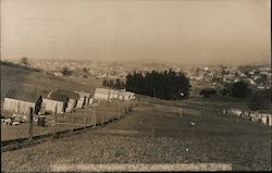 Poultry Ranch, City in Distance Petaluma, CA Towne Postcard Postcard Postcard