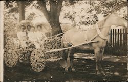 Surrey Covered in Flowers - Rose Carnival Parade 1910 Postcard
