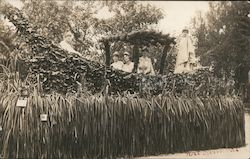 Women on a Parade Float Postcard