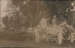 White Horses, Parade Float Postcard