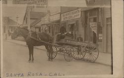 A Man on a Horse Drawn Carriage Postcard