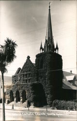 Vine Covered Catholic Church Postcard
