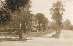 Looking Along Cherry Street Postcard