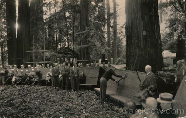 Men Using Axes at Bohemian Grove Monte Rio California