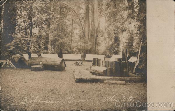 Bohemian Grove logging Monte Rio California Rhea Foto