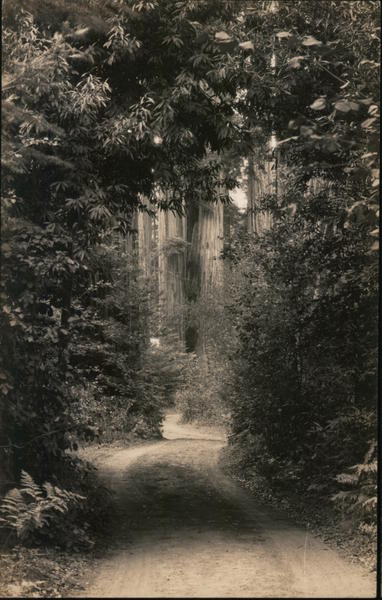 Bohemian Grove Monte Rio California Gabriel Moulin