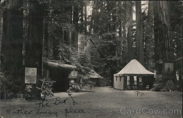 Campsites - Bohemian Grove Monte Rio California