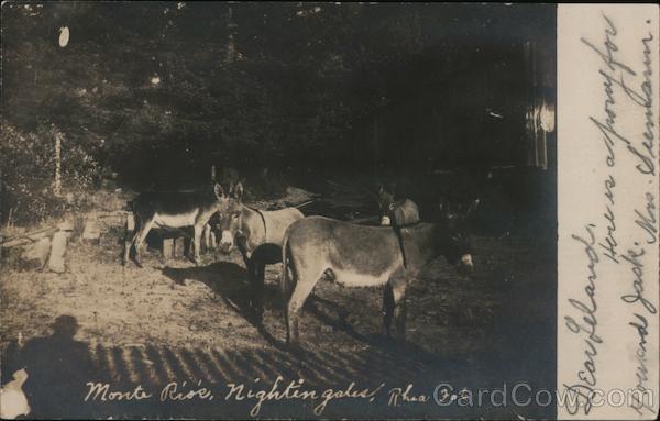 Monte Rio Nighting Gales California