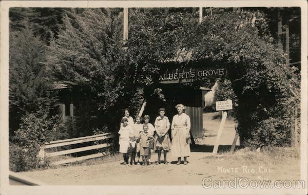 Albert's Grove Monte Rio California Rhea Foto