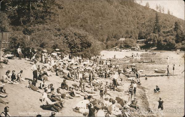A Crowd on a Sandy Beach Monte Rio California M. A. Lowry