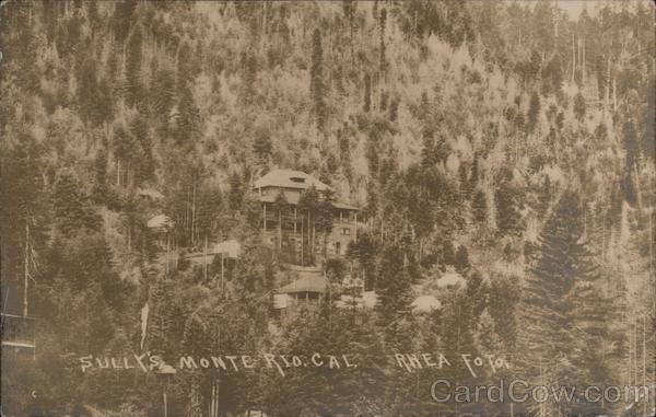 Sully's Monte Rio California Rhea Foto