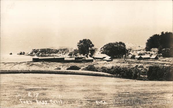 Fort Ross, California Rhea