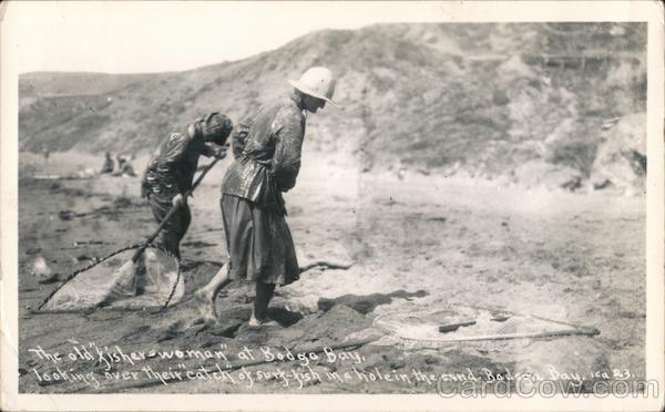 The Old Fisher Woman at Bodega Bay Looking Over Their Catch of Surf Fish in the Hole in the Sand California
