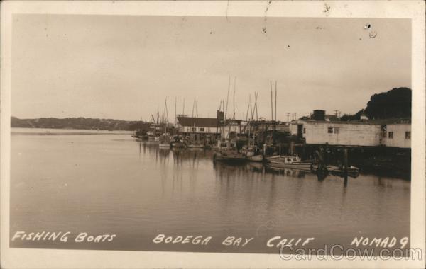 Fishing Boats Bodega Bay California