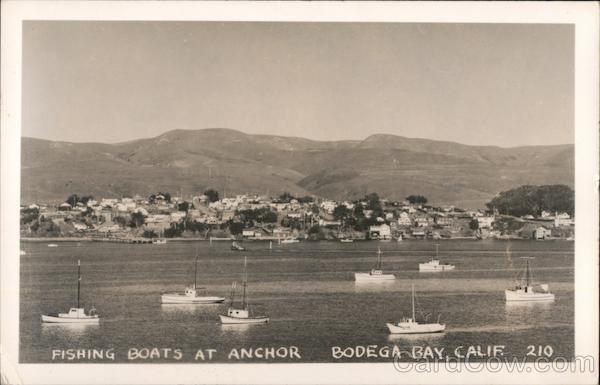Fishing Boats at Anchor Bodega Bay California