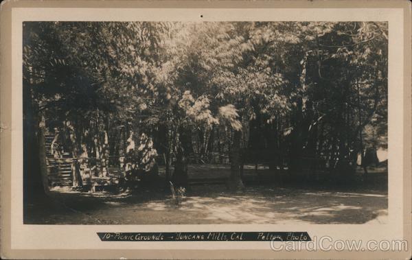 Picnic Grounds Duncans Mills California Pelton Photo
