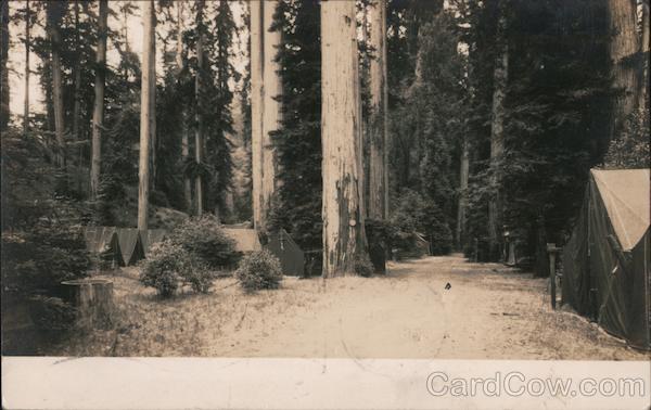 Redwood Forest Large Community Tent Camping Camp Meeker California