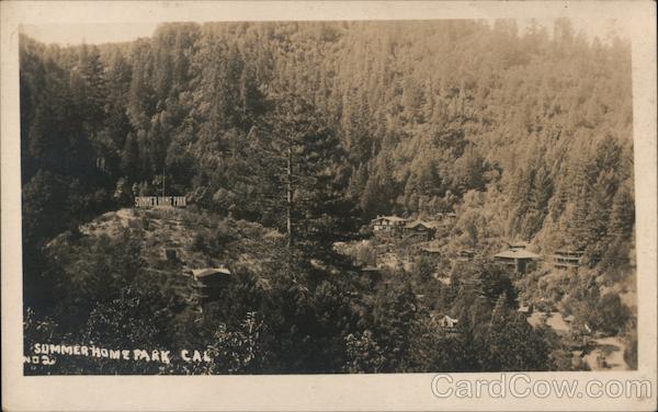 Aerial view of a forest Summerhome Park California