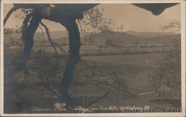 Blossoms & Fitch Mountain from Bice Hill Healdsburg California