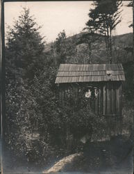 Two People in a Shack on the Russian River Monte Rio, CA Postcard Original Photograph Original Photograph
