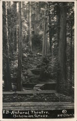 Natural Theater at Bohemian Grove Postcard