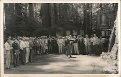 Group being taught about Redwoods Bohemian Grove Postcard