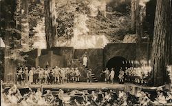 Bohemian Grove Play Postcard