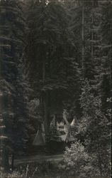 Toyland, Bohemian Grove Postcard