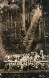 Bohemian Grove Postcard