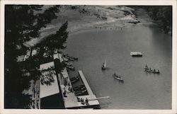 Bohemian Grove Postcard
