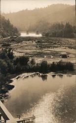 Bohemian Grove Postcard