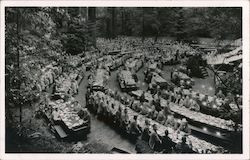Bohemian Grove Postcard
