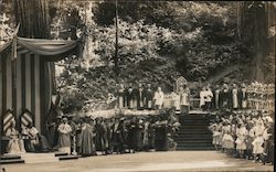 Bohemian Grove Postcard