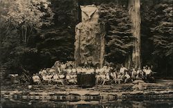 Bohemian Grove Orchestra Postcard