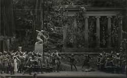 Outdoor theater play, Bohemian Grove Postcard