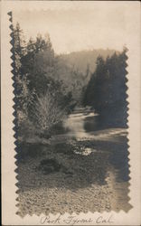 Park Tyrone Cal. Postcard