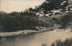 Beach view from across the river Postcard