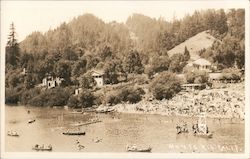 The Little Grove Campground Postcard
