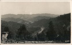 Panoramo View from Jones' Park Monte Rio, CA Wm. Mc Clearie Postcard Postcard Postcard