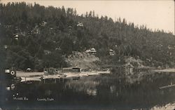 Looking Across River Toward Town Postcard