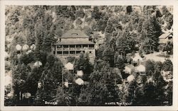 "Sully's" Postcard