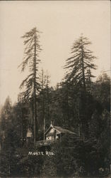 A House on the Side of a Mountain Postcard